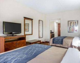 Conyers Hotel | Comfort Inn Conyers