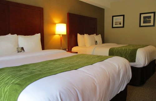 Dartmouth Hotel | Comfort Inn Dartmouth