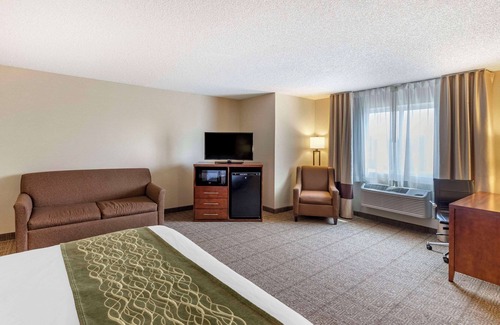 Wheat Ridge Hotel | Comfort Inn Denver West Arvada Station