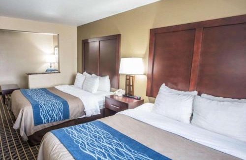 Fort Collins Hotel | Comfort Inn Fort Collins North