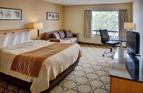 Downtown Gatineau Hotel | Comfort Inn Gatineau