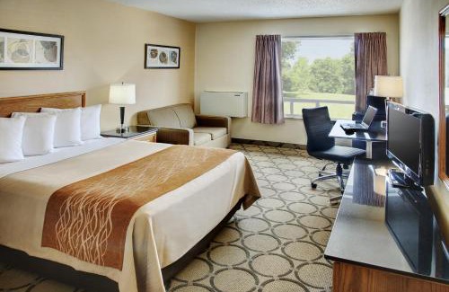 Downtown Gatineau Hotel | Comfort Inn Gatineau