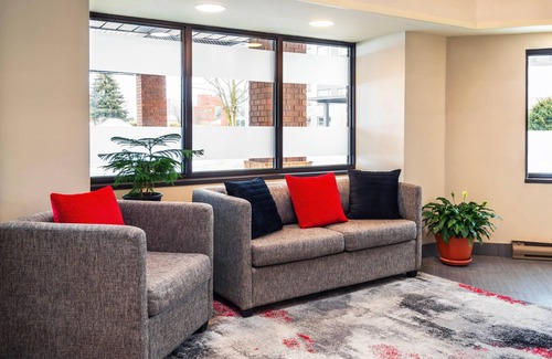 Downtown Gatineau Hotel | Comfort Inn Gatineau