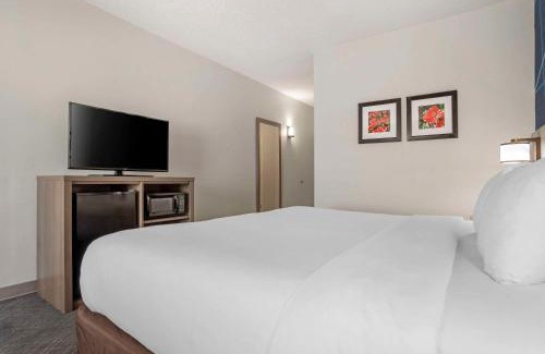Greenville Hotel | Comfort Inn Greenville I-65
