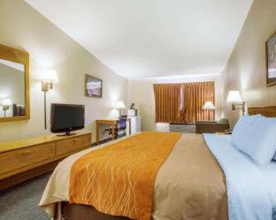 Marina Hotel | Comfort Inn Marina on the Monterey Bay