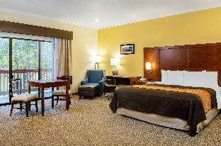 Monterey Hotel | Comfort Inn Monterey Peninsula Airport