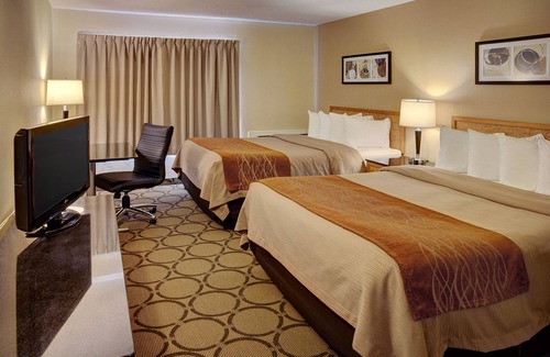 New Glasgow Hotel | Comfort Inn New Glasgow