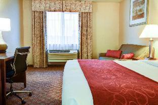 Newport Hotel | Comfort Inn Newport