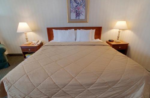 Nauck Hotel | Comfort Inn Pentagon City