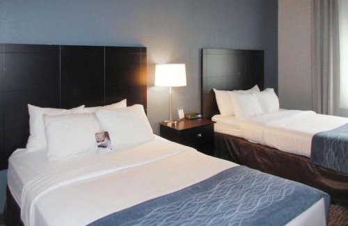 Port Huron Hotel | Comfort Inn Port Huron