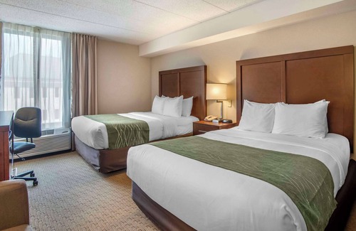 Gaithersburg Hotel | Comfort Inn Shady Grove - Gaithersburg - Rockville