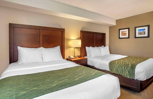Gaithersburg Hotel | Comfort Inn Shady Grove - Gaithersburg - Rockville