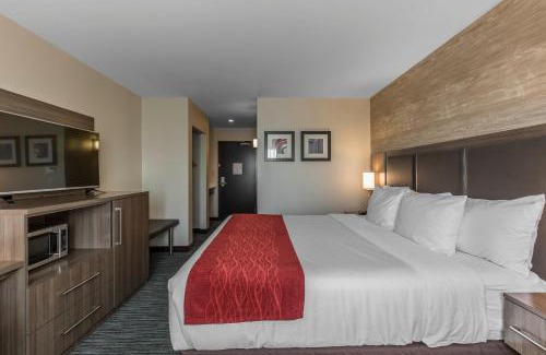 Calgary Hotel | Comfort Inn & Suites Airport North