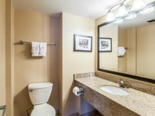 Alexandria Hotel | Comfort Inn & Suites Alexandria West