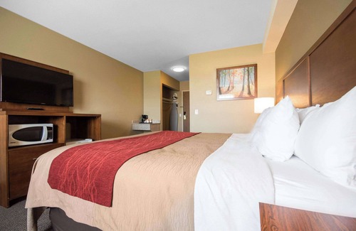 Langley Hotel | Comfort Inn & Suites