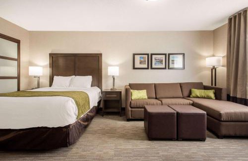 Red Deer Hotel | Comfort Inn & Suites