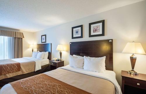 Cambridge Hotel | Comfort Inn & Suites Cambridge