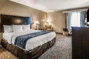 DeLand Hotel | Comfort Inn & Suites DeLand - near University