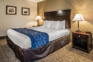 DeLand Hotel | Comfort Inn & Suites DeLand - near University