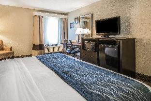 DeLand Hotel | Comfort Inn & Suites DeLand - near University