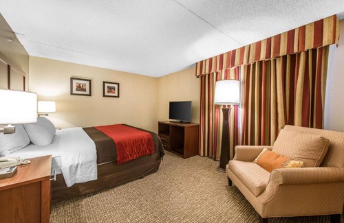 Northeast Park Hill Hotel | Comfort Inn & Suites Denver Northfield