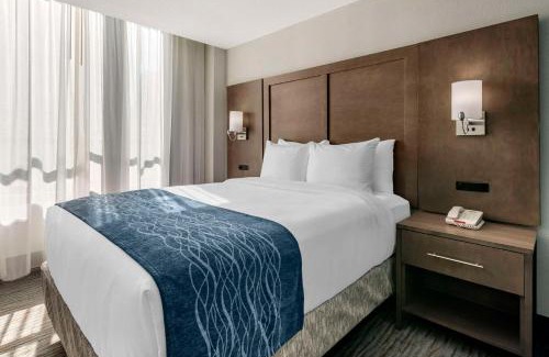 Downtown Miami Hotel | Comfort Inn & Suites Downtown Brickell-Port of Miami
