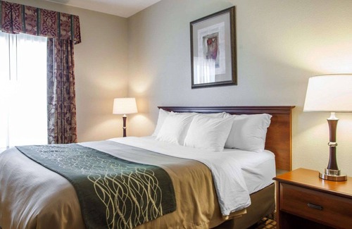 Harrisonville Hotel | Comfort Inn & Suites Harrisonville