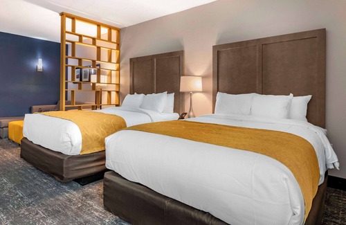 Westside Hotel | Comfort Inn & Suites Jacksonville - Orange Park Near Naval Air Station