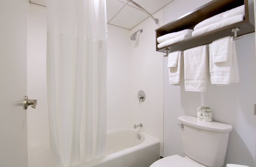 Galeville Hotel | Comfort Inn & Suites Liverpool - Syracuse North