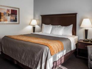 Lumberton Hotel | Comfort Inn & Suites Lumberton Central I-95