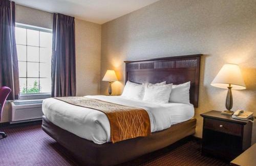Morrisonville Hotel | Comfort Inn & Suites Madison North