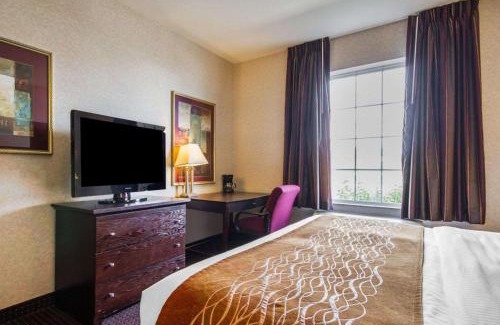 Morrisonville Hotel | Comfort Inn & Suites Madison North
