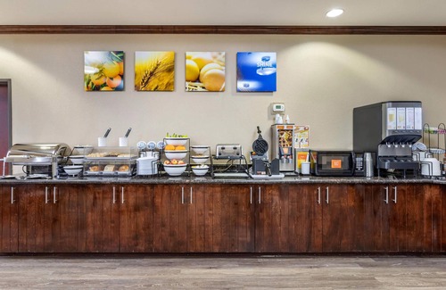 Navasota Hotel | Comfort Inn & Suites Navasota