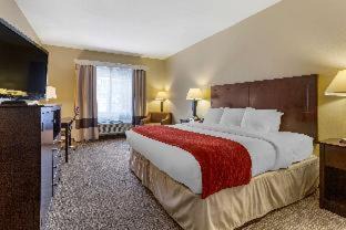 Cortaro Hotel | Comfort Inn & Suites North Tucson Marana