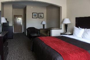 Cortaro Hotel | Comfort Inn & Suites North Tucson Marana