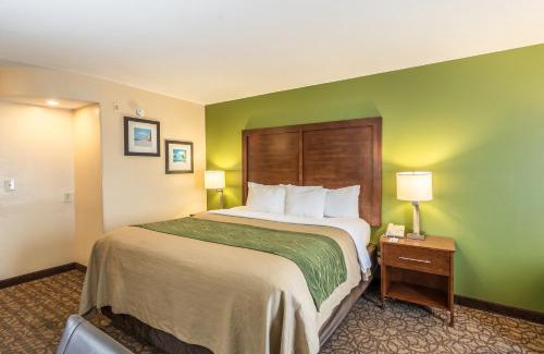 Panama City Hotel | Comfort Inn & Suites Panama City North
