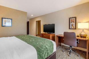 Scotia Hotel | Comfort Inn & Suites Schenectady - Scotia