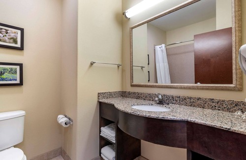 Scott Hotel | Comfort Inn & Suites Scott-West Lafayette