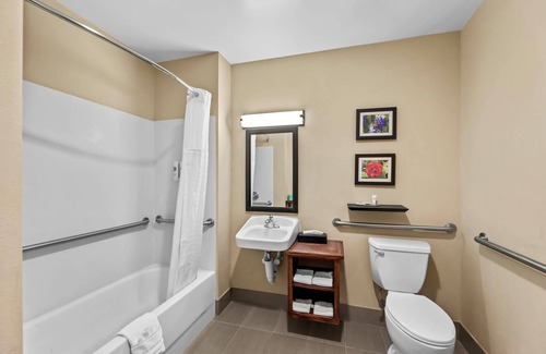 Florence Hotel | Comfort Inn & Suites Tuscumbia - Muscle Shoals
