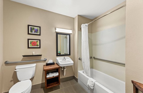 Florence Hotel | Comfort Inn & Suites Tuscumbia - Muscle Shoals