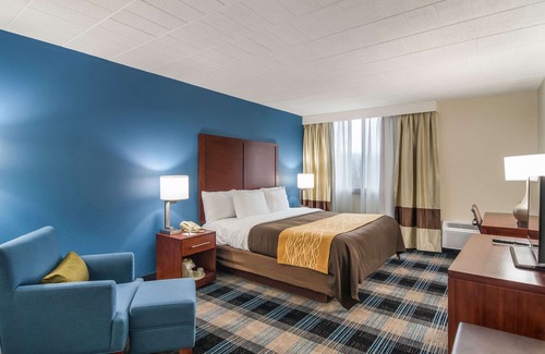 O'Hara Township Hotel | Comfort Inn & Suites