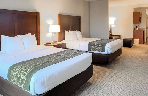 Rogersville Hotel | Comfort Inn & Suites