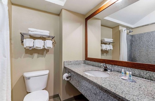 Seguin Hotel | Comfort Inn & Suites