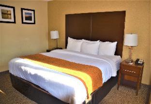 Downtown Vancouver Hotel | Comfort Inn & Suites Vancouver Downtown City Center