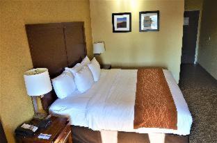 Downtown Vancouver Hotel | Comfort Inn & Suites Vancouver Downtown City Center