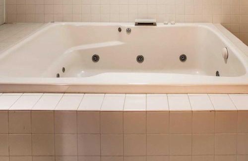 Wyomissing Hotel | Comfort Inn & Suites Wyomissing-Reading