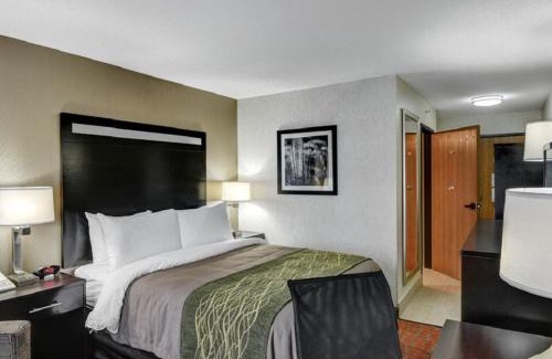 Painesville Hotel | Comfort Inn