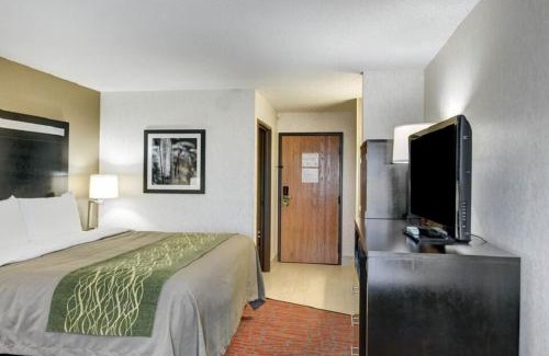 Painesville Hotel | Comfort Inn