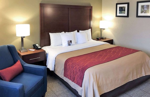 Farmington Hills Hotel | Comfort Inn