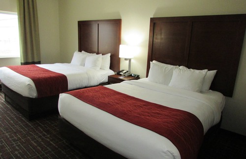 Wichita Falls Hotel | Comfort Inn Wichita Falls Near University